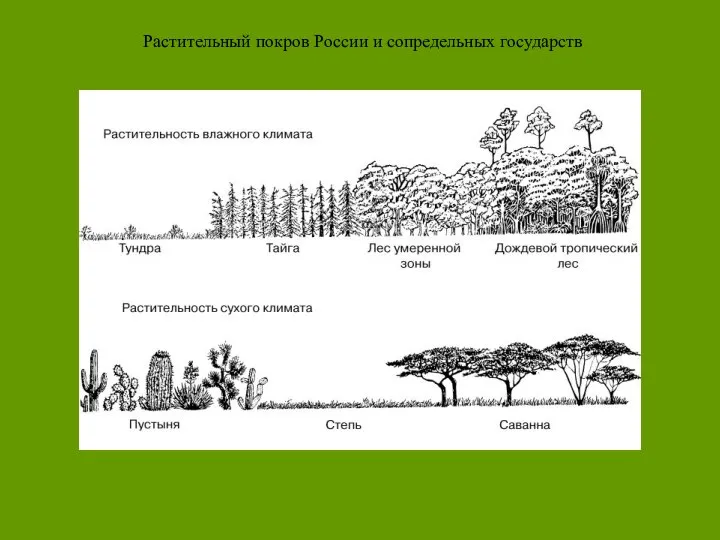 Растительный покров России и сопредельных государств