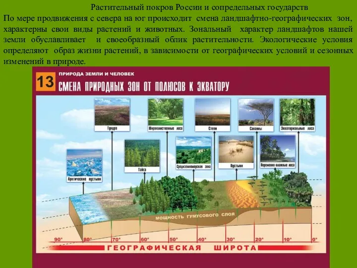 Растительный покров России и сопредельных государств По мере продвижения с севера на