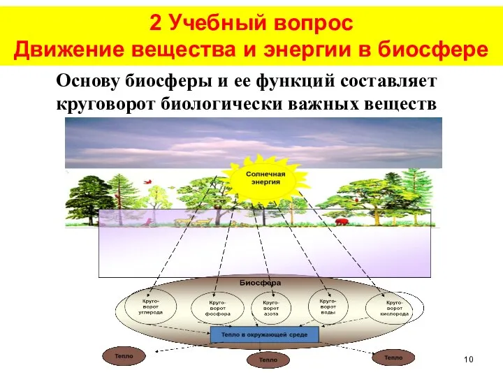 2 Учебный вопрос Движение вещества и энергии в биосфере Основу биосферы и