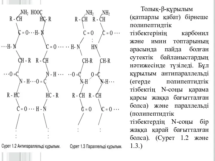 Толық-β-құрылым (қатпарлы қабат) бірнеше полипептидтік тізбектерінің карбонил және имин топтарының арасында пайда