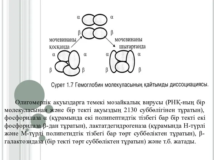 Олигомерлік ақуыздарга темекі мозайкалық вирусы (РНҚ-ның бір молекуласынан және бір текті ақуыздың