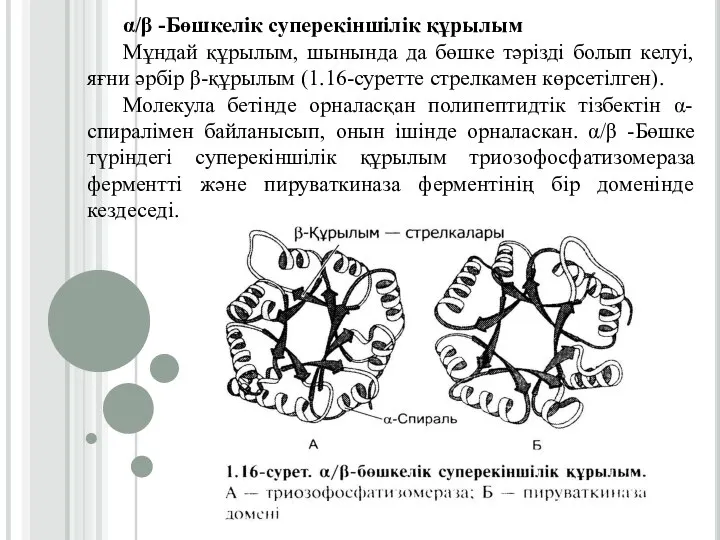 α/β -Бөшкелік суперекіншілік құрылым Мұндай құрылым, шынында да бөшке тәрізді болып келуі,