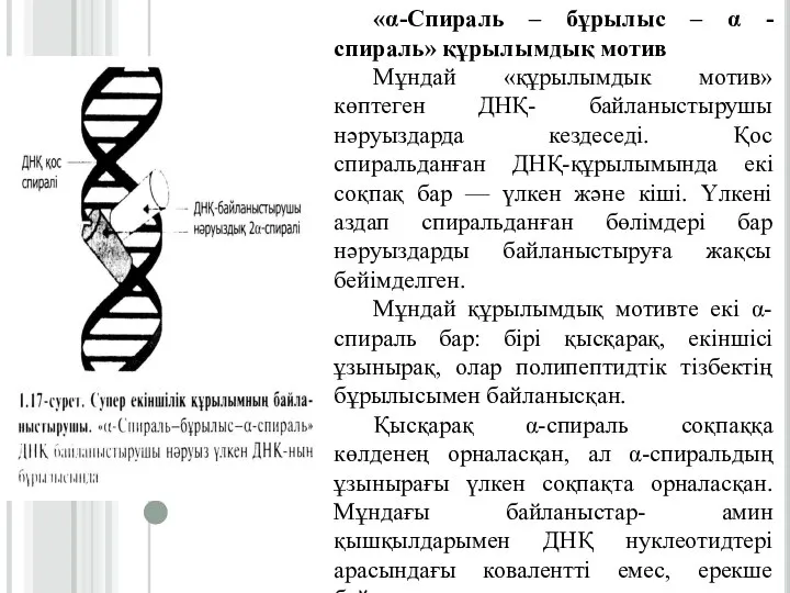 «α-Спираль – бұрылыс – α -спираль» құрылымдық мотив Мұндай «құрылымдык мотив» көптеген