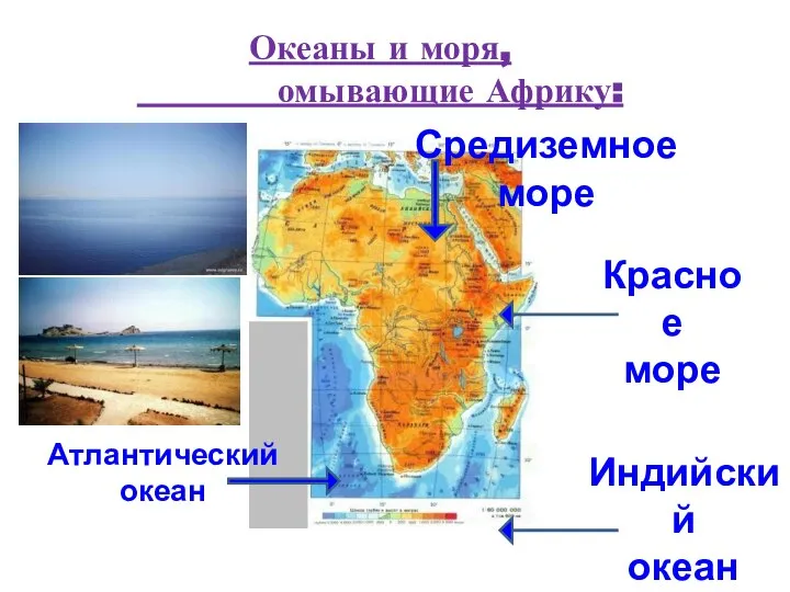 Океаны и моря, омывающие Африку: Средиземное море Атлантический океан Индийский океан Красное море