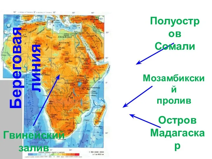 Береговая линия Гвинейский залив Остров Мадагаскар Полуостров Сомали Мозамбикский пролив