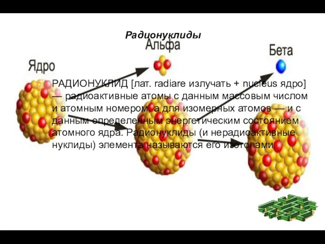 Радионуклиды РАДИОНУКЛИД [лат. radiare излучать + nucleus ядро] — радиоактивные атомы с