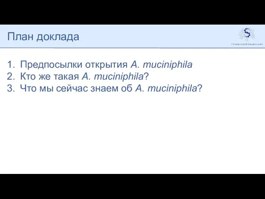 План доклада Предпосылки открытия A. muciniphila Кто же такая A. muciniphila? Что