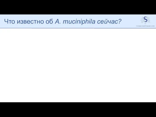 Что известно об A. muciniphila сейчас?