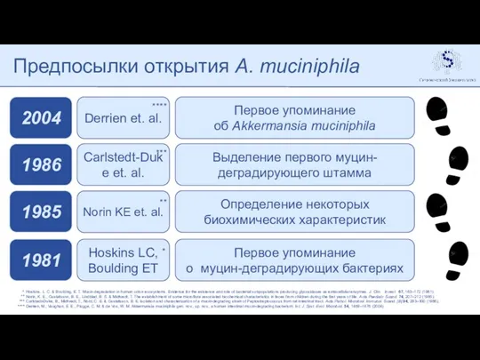 Предпосылки открытия A. muciniphila Первое упоминание о муцин-деградирующих бактериях 1981 Hoskins LC,