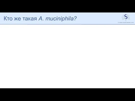 Кто же такая A. muciniphila?