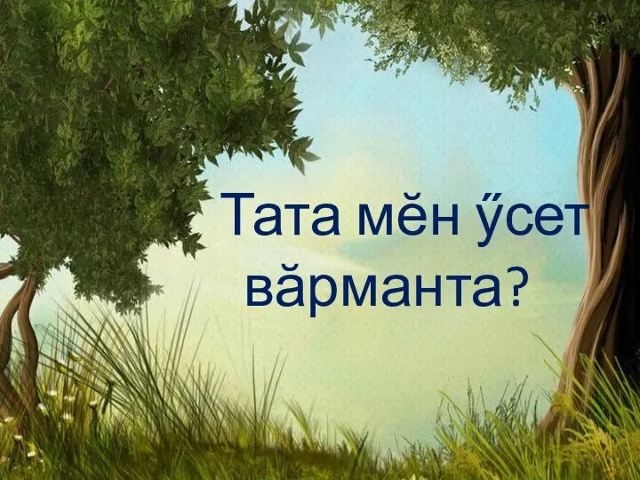 Тата мӗн ӳсет вӑрманта?