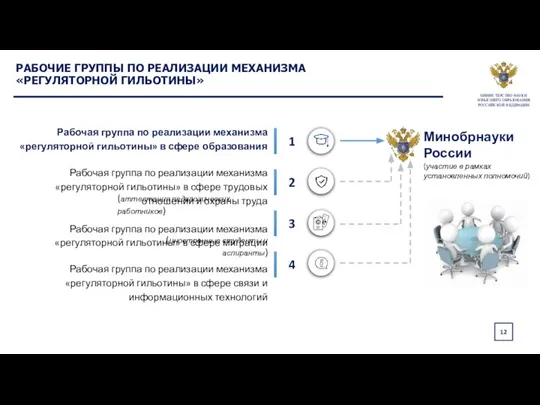 12 Минобрнауки России Рабочая группа по реализации механизма «регуляторной гильотины» в сфере