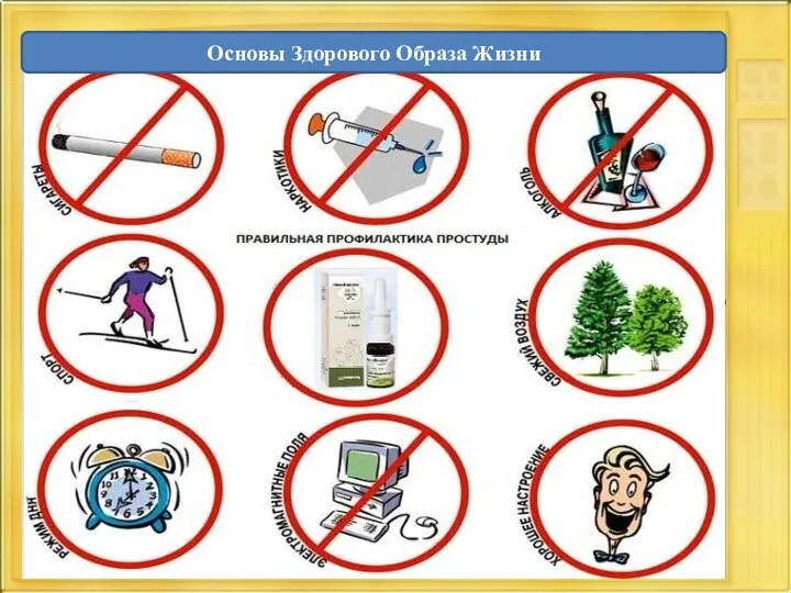 Основы Здорового Образа Жизни