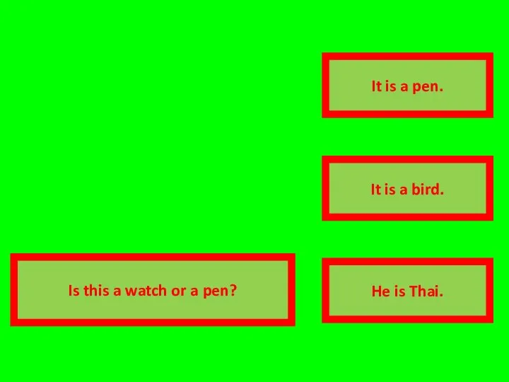 correct answer transparent It is a pen. It is a bird. He