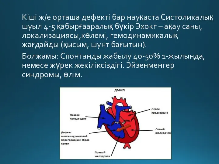 Кіші ж/е орташа дефекті бар науқаста Систоликалық шуыл 4-5 қабырғааралық бүкір Эхокг