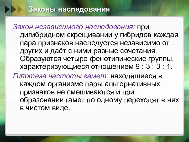 Законы наследования Закон независимого наследования: при дигибридном скрещивании у гибридов каждая пара