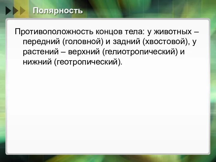 Полярность Противоположность концов тела: у животных – передний (головной) и задний (хвостовой),