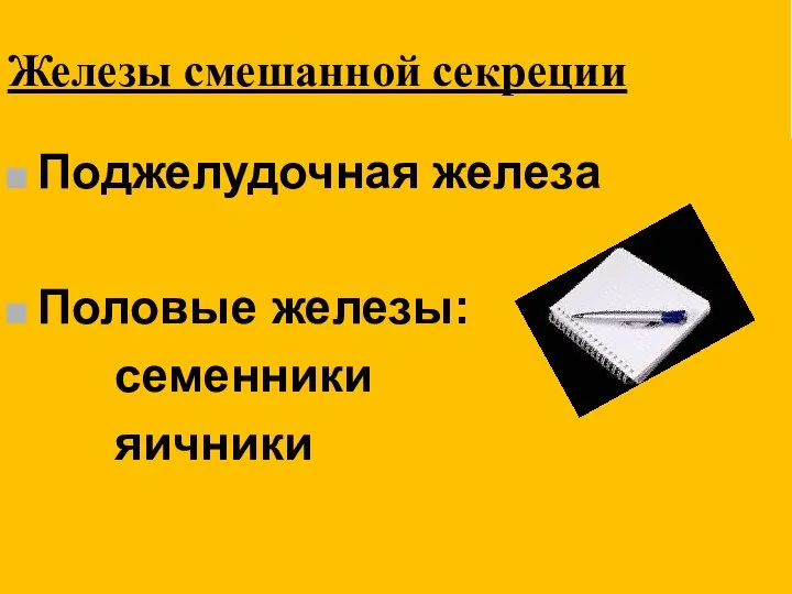 Железы смешанной секреции Поджелудочная железа Половые железы: семенники яичники