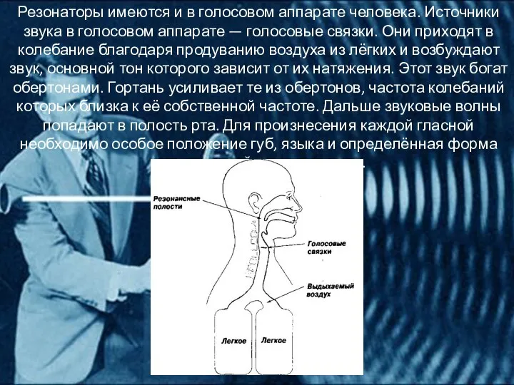 Резонаторы имеются и в голосовом аппарате человека. Источники звука в голосовом аппарате