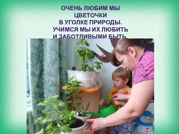 ОЧЕНЬ ЛЮБИМ МЫ ЦВЕТОЧКИ В УГОЛКЕ ПРИРОДЫ. УЧИМСЯ МЫ ИХ ЛЮБИТЬ И ЗАБОТЛИВЫМИ БЫТЬ.