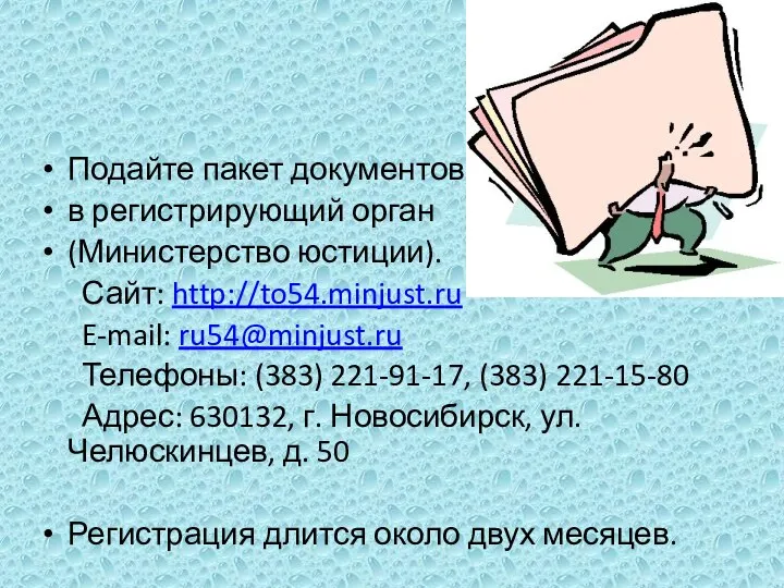 Подайте пакет документов в регистрирующий орган (Министерство юстиции). Сайт: http://to54.minjust.ru E-mail: ru54@minjust.ru