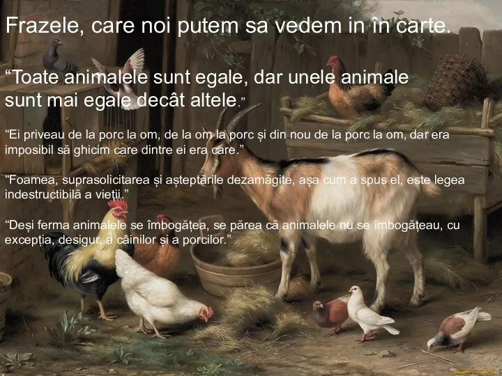 Frazele, care noi putem sa vedem in în carte. “Toate animalele sunt