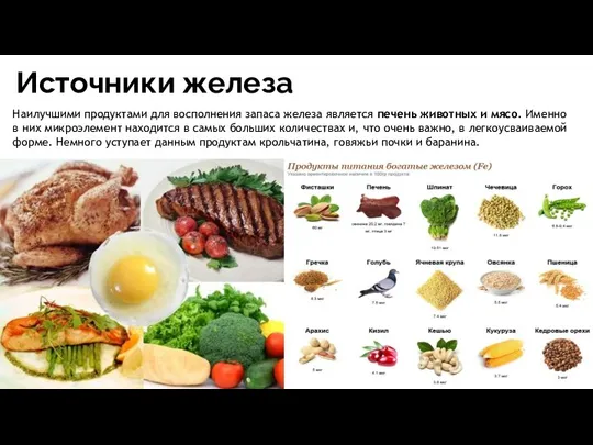 Источники железа Наилучшими продуктами для восполнения запаса железа является печень животных и