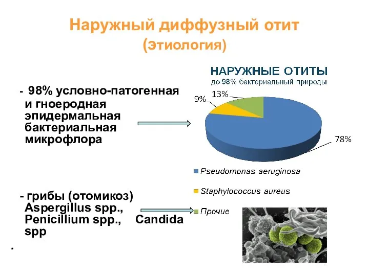 Наружный диффузный отит (этиология) - 98% условно-патогенная и гноеродная эпидермальная бактериальная микрофлора
