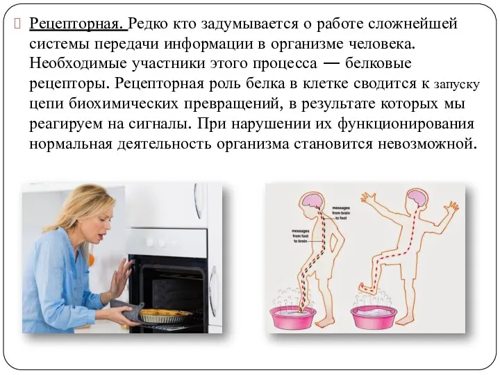 Рецепторная. Редко кто задумывается о работе сложнейшей системы передачи информации в организме