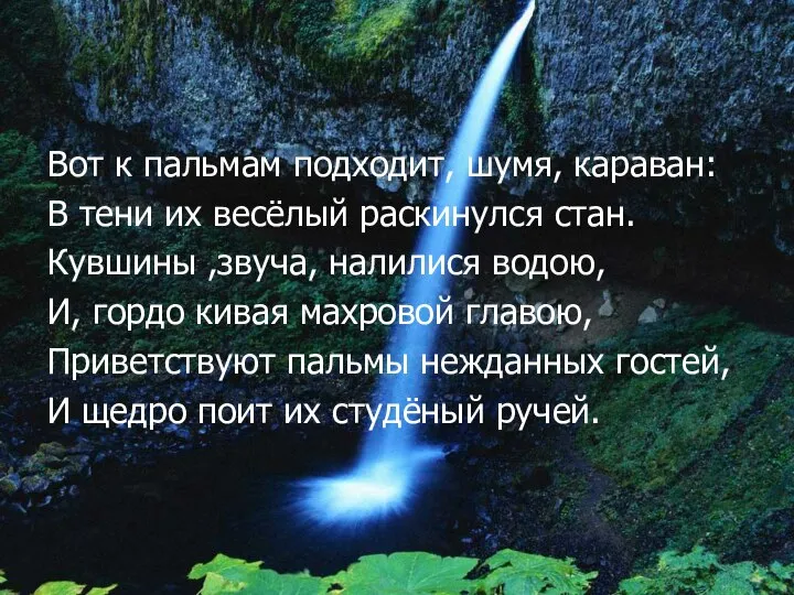 Вот к пальмам подходит, шумя, караван: В тени их весёлый раскинулся стан.