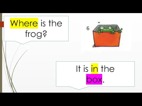 Where is the frog? It is in the box.