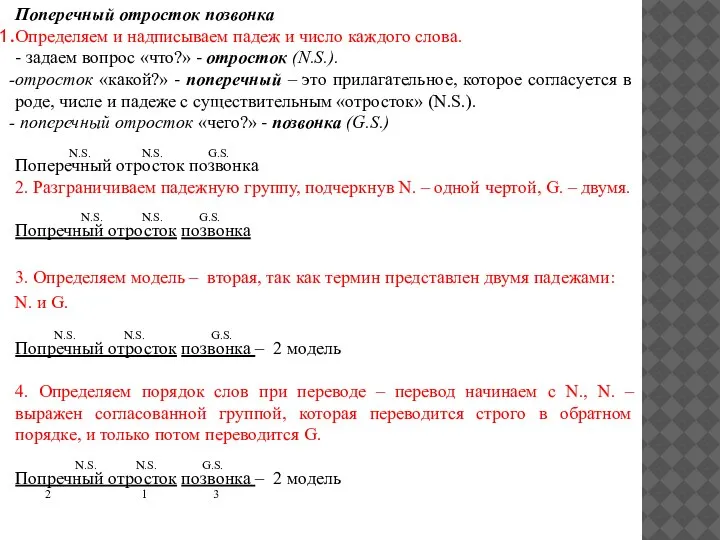 Поперечный отросток позвонка Определяем и надписываем падеж и число каждого слова. -