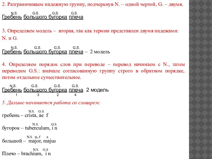 2. Разграничиваем падежную группу, подчеркнув N. – одной чертой, G. – двумя.