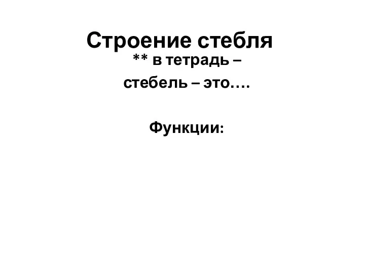 Строение стебля ** в тетрадь – стебель – это…. Функции: