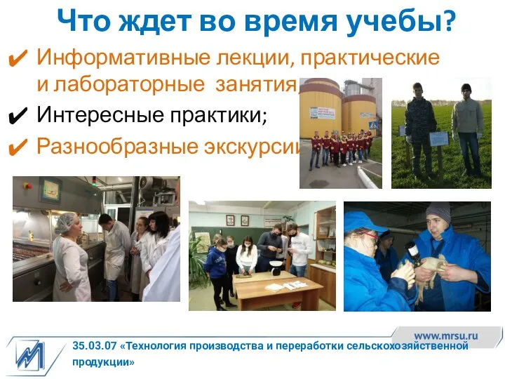 35.03.07 «Технология производства и переработки сельскохозяйственной продукции» Что ждет во время учебы?