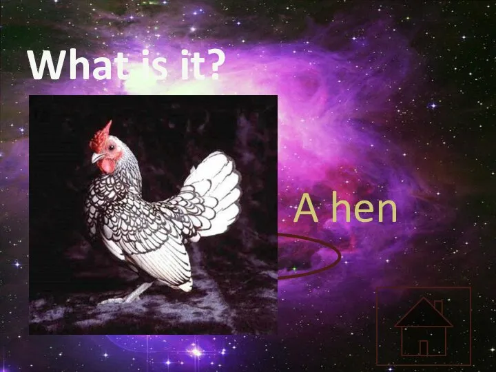 What is it? A hen