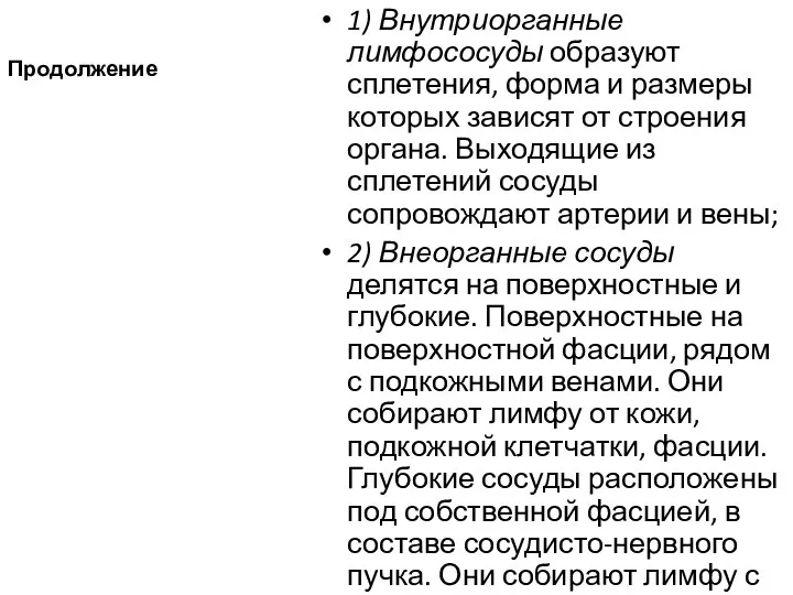 Продолжение 1) Внутриорганные лимфососуды образуют сплетения, форма и размеры которых зависят от