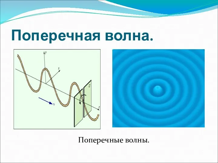 Поперечная волна. Поперечные волны.