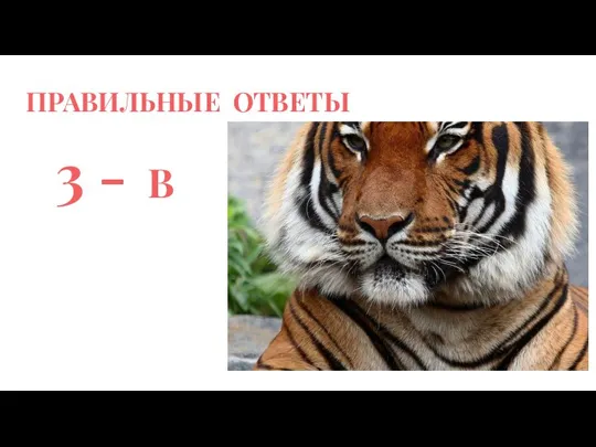 ПРАВИЛЬНЫЕ ОТВЕТЫ 3 - В