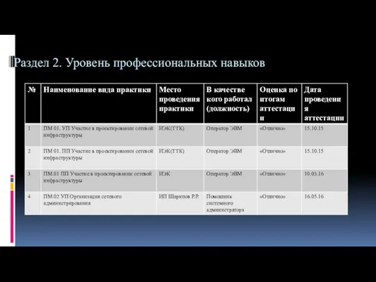 Раздел 2. Уровень профессиональных навыков