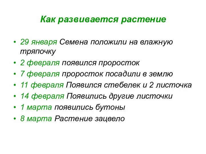 Как развивается растение 29 января Семена положили на влажную тряпочку 2 февраля