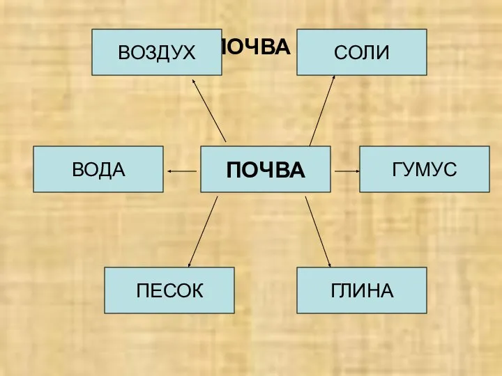 ПОЧВА ПОЧВА ВОЗДУХ ВОДА ПЕСОК СОЛИ ГУМУС ГЛИНА