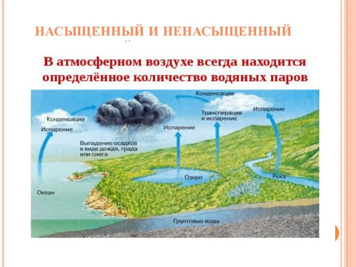 НАСЫЩЕННЫЙ И НЕНАСЫЩЕННЫЙ ВОДЯНОЙ ПАР. ВЛАЖНОСТЬ