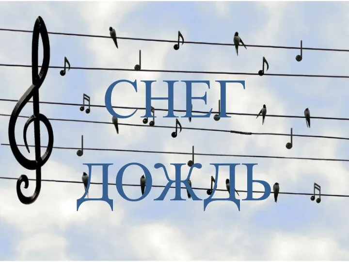 СНЕГ ДОЖДЬ