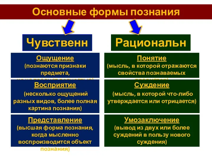 Основные формы познания Чувственное Рациональное Ощущение (познаются признаки предмета, но не предмет