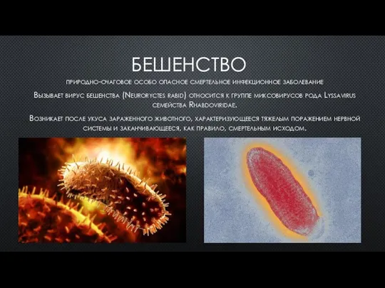 БЕШЕНСТВО природно-очаговое особо опасное смертельное инфекционное заболевание Вызывает вирус бешенства (Neuroryctes rabid)