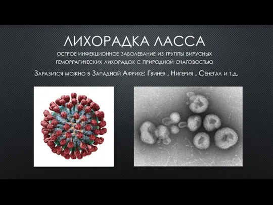 ЛИХОРАДКА ЛАССА острое инфекционное заболевание из группы вирусных геморрагических лихорадок с природной