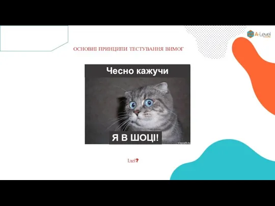 ОСНОВНІ ПРИНЦИПИ ТЕСТУВАННЯ ВИМОГ Ідеї? Чесно кажучи Я В ШОЦІ!