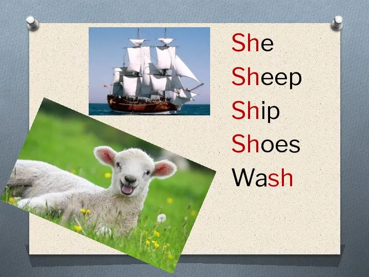She Sheep Ship Shoes Wash