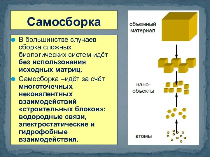 В большинстве случаев сборка сложных биологических систем идёт без использования исходных матриц.